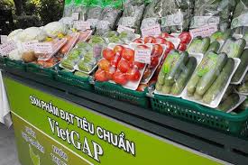 Image result for Vietgap trồng trọt vietCert