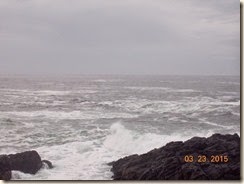 DSCN5620