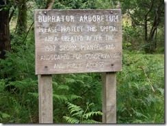 P7170450