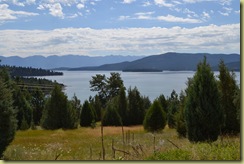 Montana-2