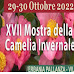 Il 29 e 30 ottobre, sul Lago Maggiore, la XVII mostra della camelia invernale: i fiori incontrano l'arte a Villa Giulia
