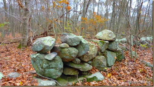 Bluff point _026