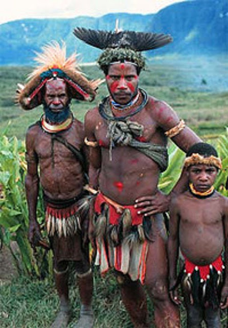 tribu indigena