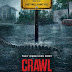 Crawl (2019): More thrilling than scary but nevertheless engaging and entertaining