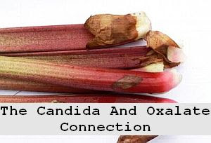 https://foreverhealthy.blogspot.com/2012/04/candida-and-oxalate-connection.html#more