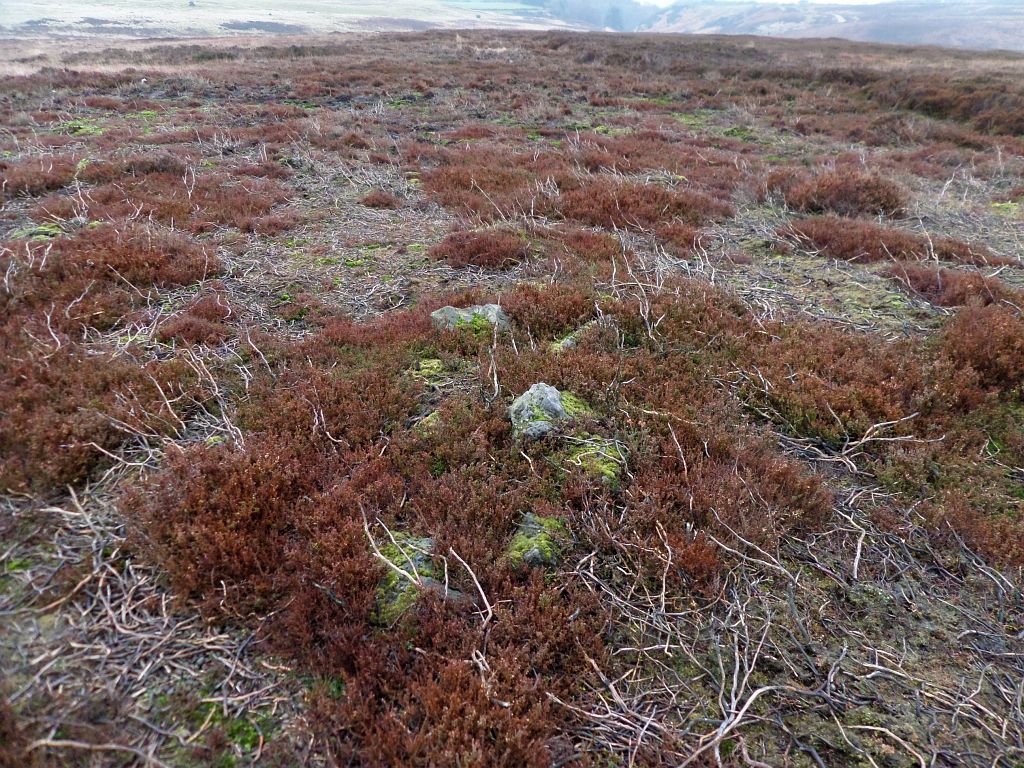 A half buried cairn