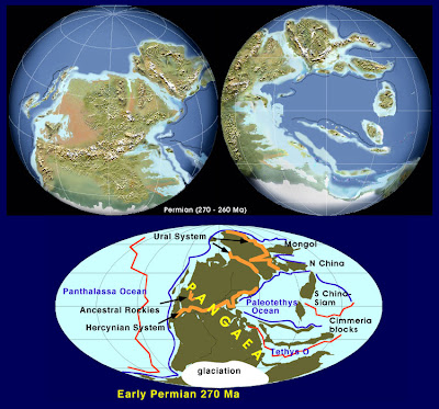Permian Time Period. Permian-Triassic Period