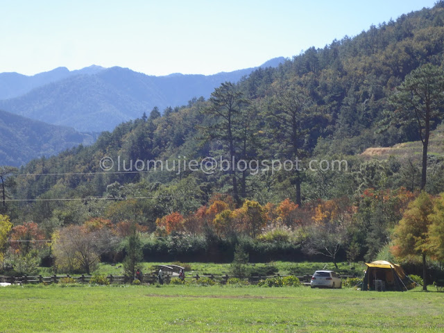 Wuling Farm maple autumn foliage