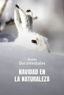Navidad en la naturaleza