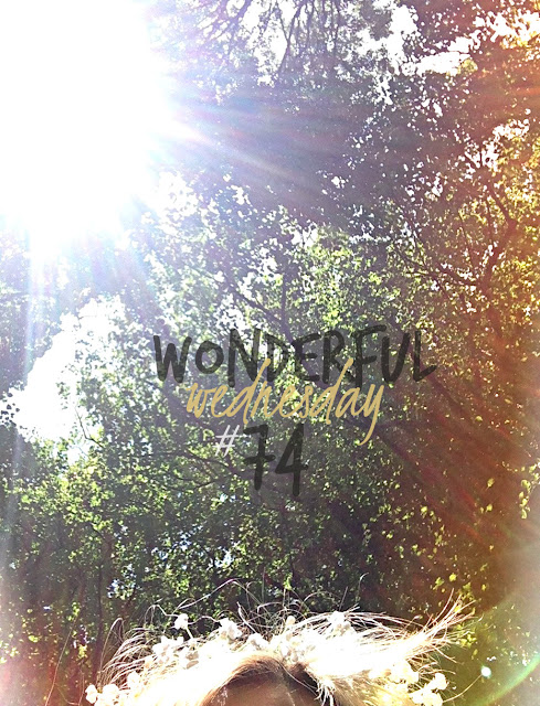 Wonderful Wednesday #74