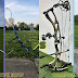 Recurve vs. Compound Bows: Which Is Right for You?