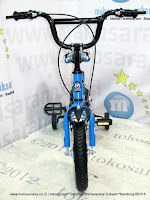 12 Inch Evergreen EG1251 Maximus Kids Bike