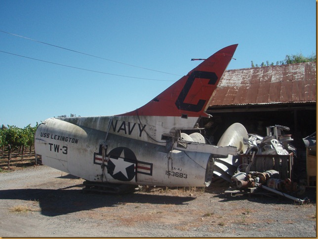 Airplane junkyard with grapevines