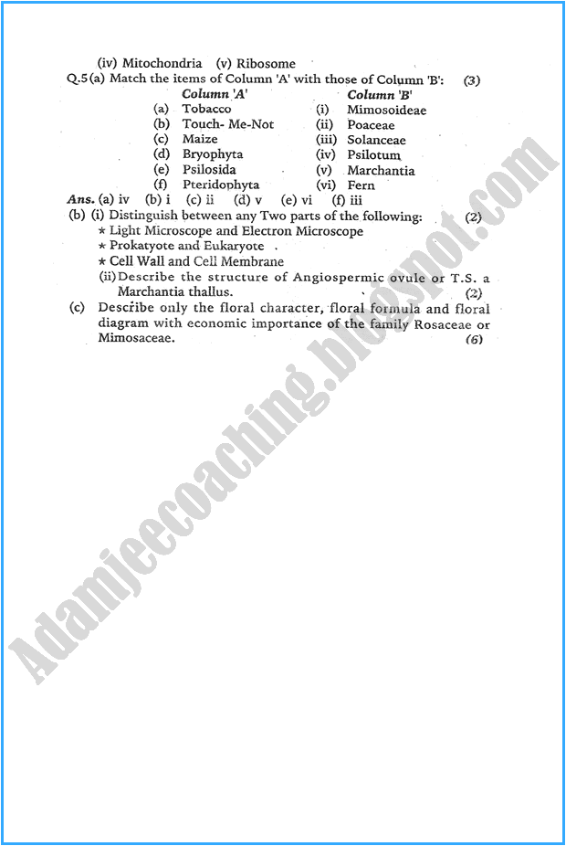 xi-botany-past-year-paper-2008