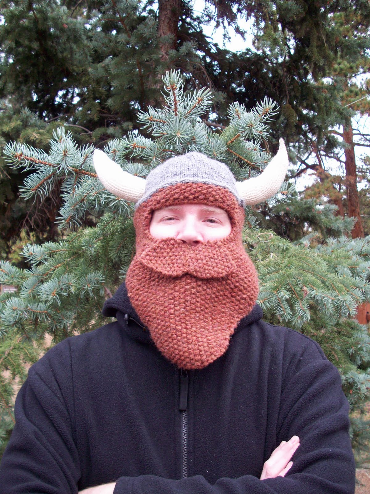 Viking beard hat