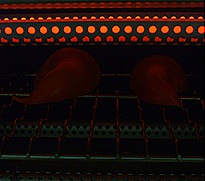 DSCF4999
