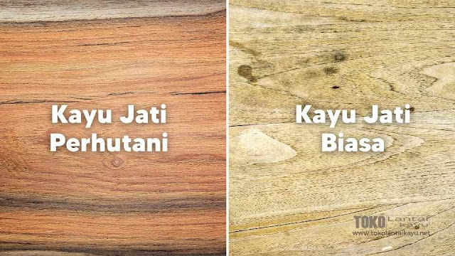 Kayu Jati Perhutani VS Kayu Jati Biasa