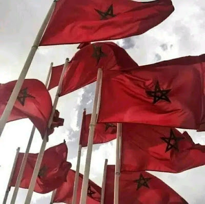 دفاعا عن العصابات دبلوماسي جزائري.. أولويتنا تقسيم المغرب!