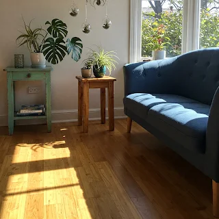 Sustainable Living Room