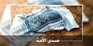 تفاصيل العثور على أجزاء آدمية بمنطقة إمبابة بالجيزة.. حلاق قتل شقيقه