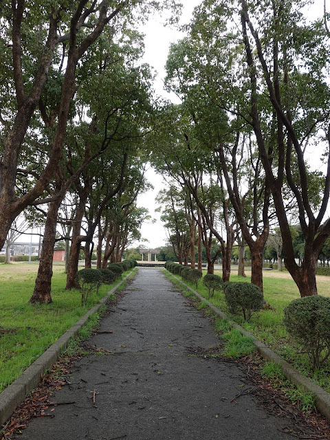 海浜公園の円形広場からの街路樹のある通りが綺麗です