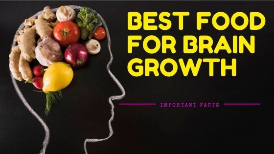The Best Food For Brain Growth Important Facts