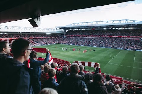 Stadium View From Gallery
