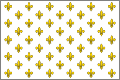 drapeau blenc sur champ de lis d'or