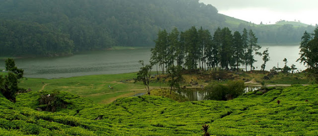 Objek wisata di bandung Situ Patenggang