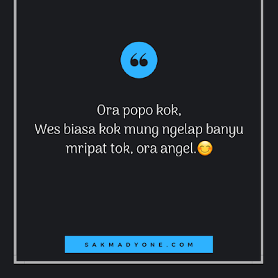  100 Gambar Status Whatsapp Lucu Bahasa Jawa  Terbaru 