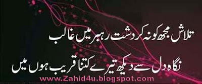 Nigah e Dil Se Dekh BeautiFuL Mirza GhaLib Urdu Poetry