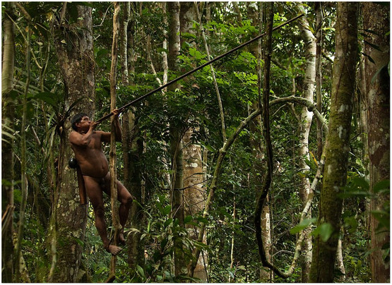 Jom Tengok Gaya Hidup Seharian Orang Asli Di Hutan Amazon 