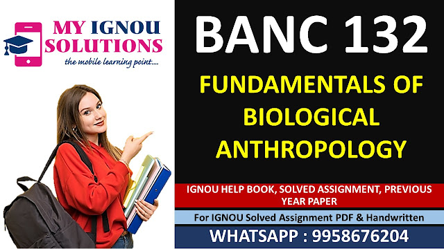 Banc 132 solved assignment 2024 25 pdf download; nc 132 solved assignment 2024 25 pdf; nc 132 solved assignment 2024 25 ignou