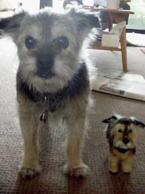 Dogs with their small versions