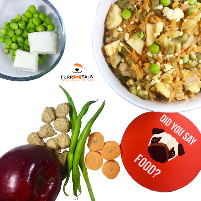 healthy home-cooked dog food in Delhi.