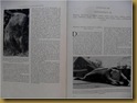 Buku De Wonderen Van Het Dieren Rijk - hal 304