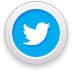 Seguimi su Twitter