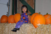 . like It's The Great Pumpkin Charlie Brown pumpkin patch, we scored.