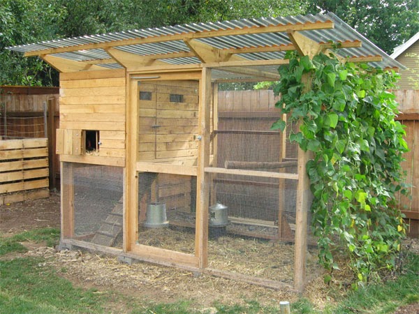  Chicken  House  Plans  How To Build A Chicken  House 