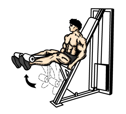 Ronaldo Quadriceps on To Train The Quadriceps Or Quads Muscles This Leg Workout Is Done On