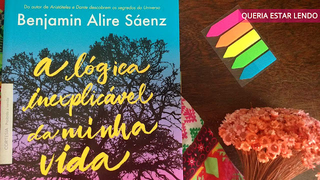 Resenha: A Lógica Inexplicável da Minha Vida