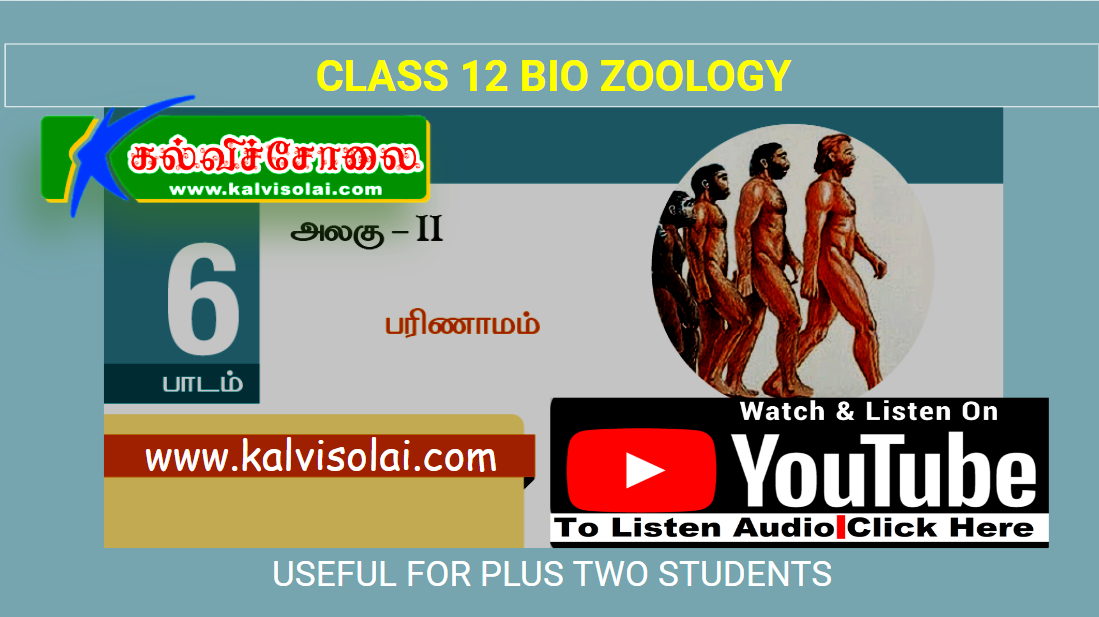 kalvisolai-no-1-educational-website-in-tamil-nadu-chapter-6