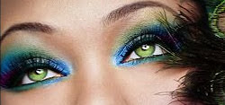 Pecock eyes
