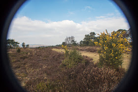 Old Lodge Nature Reserve, Ashdown Forest.  22 February 2018