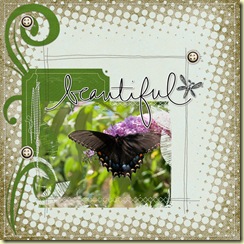 2009-8-8-DDBeautiful-butterfly