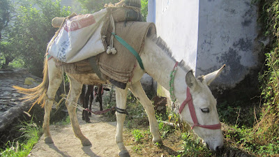 Aithana ('ऐठाणा') Village