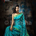 Mansha Traditionals Saree Blouse Patterns 2012