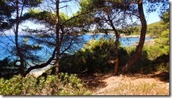 Uferlandschaft