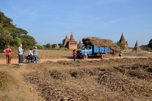 PAGAN, BAGAN, BIRMA, JOLA STĘPIEŃ