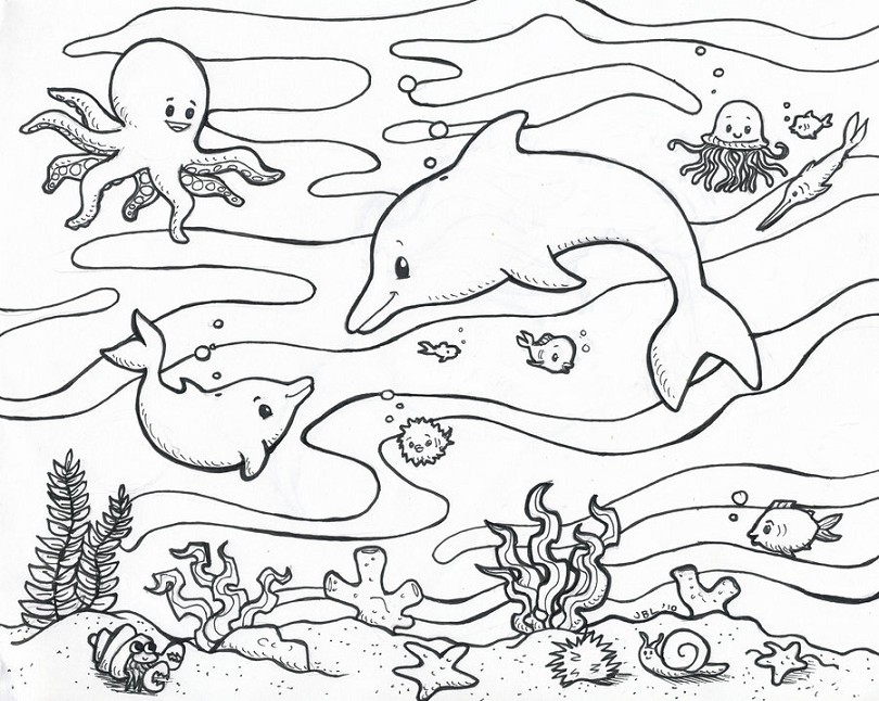 Sketsa gambar yang tidak kalah menariknya yakni skema gambar binatang bahari Sketsa Gambar Hewan Laut Terbaru